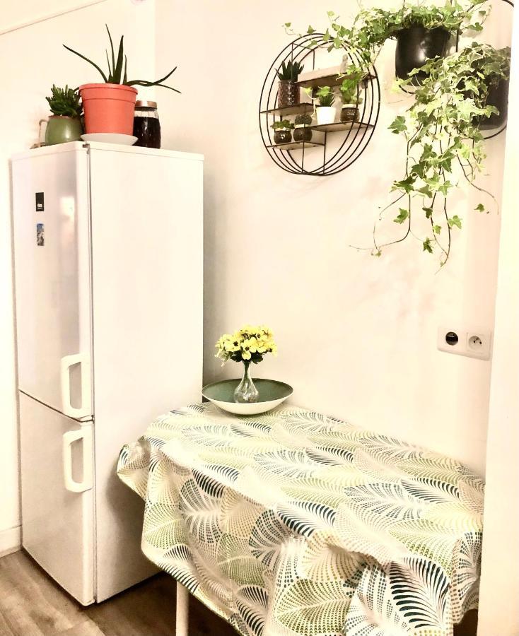Room With Balcon 20 Minutes From Eiffel Tower Шоази-льо-Роа Екстериор снимка